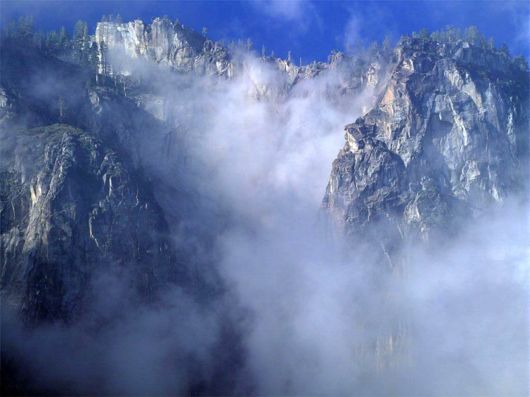 Amazing Foggy Nature Pictures