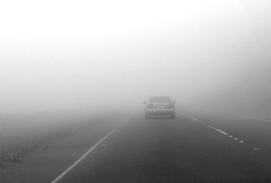 Amazing Foggy Nature Pictures