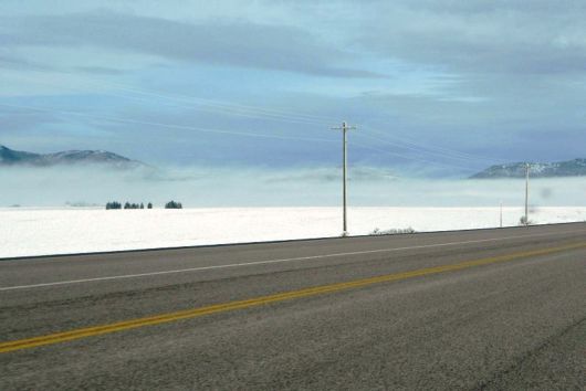 Amazing Foggy Nature Pictures