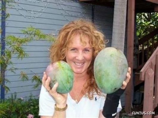 Ever seen such Huge Vegetables ?