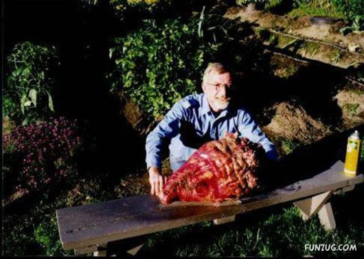 Ever seen such Huge Vegetables ?