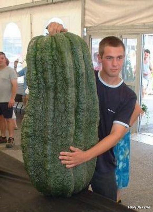 Ever seen such Huge Vegetables ?