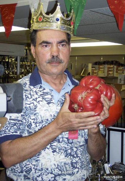 Ever seen such Huge Vegetables ?