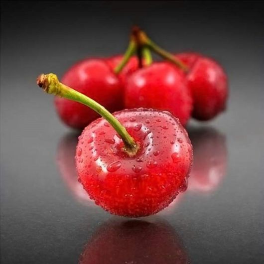 Amazing Microscopic Macro Nature Pictures