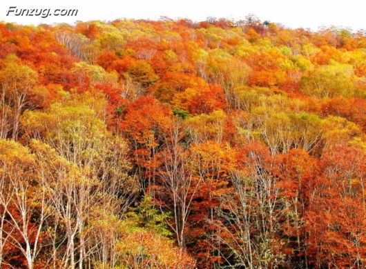Most Beautiful Mountains Photography