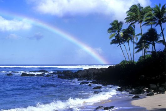 Amazing Rainbows in the Sky