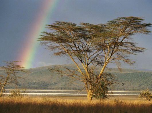 Amazing Rainbows in the Sky