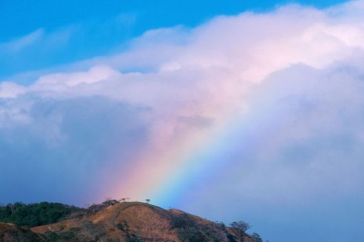 Amazing Rainbows in the Sky