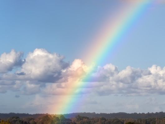 Amazing Rainbows in the Sky