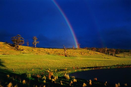 Amazing Rainbows in the Sky