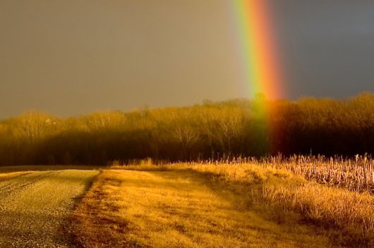 Amazing Rainbows in the Sky