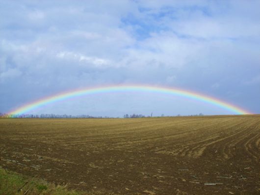 Amazing Rainbows in the Sky