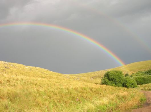 Amazing Rainbows in the Sky