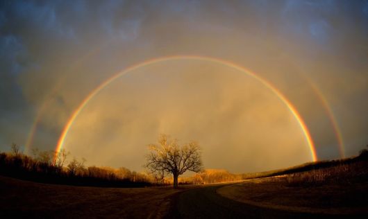 Amazing Rainbows in the Sky