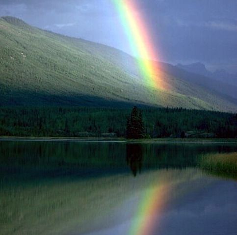 Amazing Rainbows in the Sky