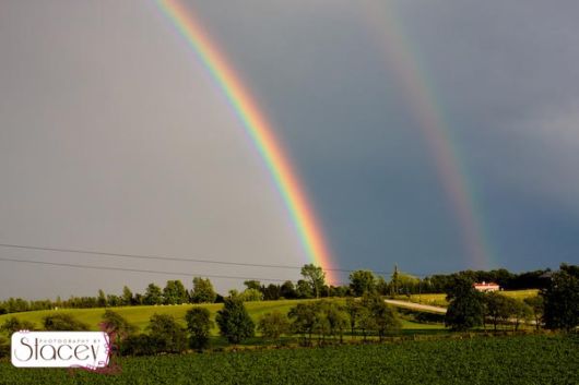 Amazing Rainbows in the Sky