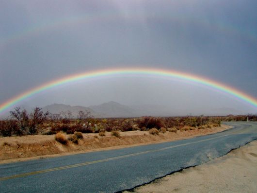 Amazing Rainbows in the Sky