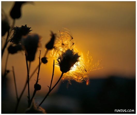 Spectacular Nature Photography