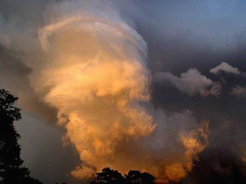 Twisters - A Miracle of Nature