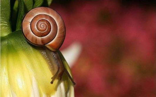 The Wonderful Photo Shots