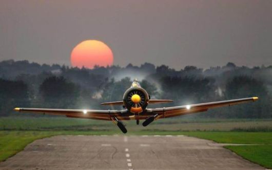 The Wonderful Photo Shots