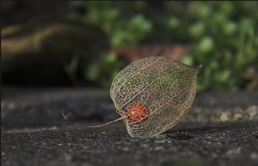 The Wonderful Photo Shots