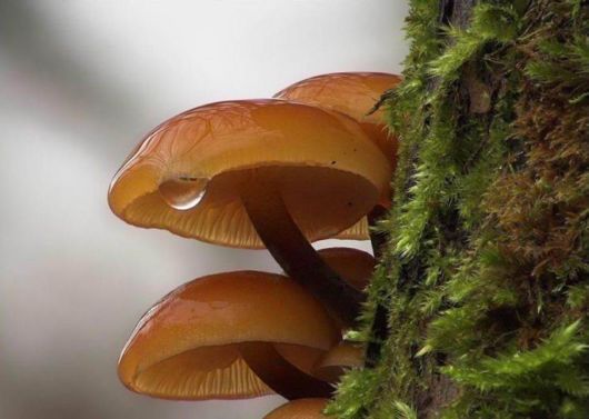 The Wonderful Photo Shots