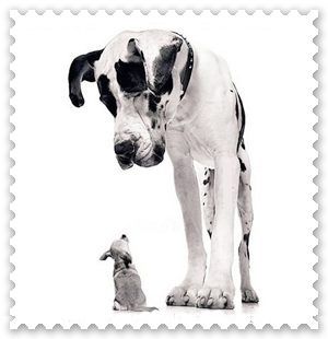 Some Inspiring Facts