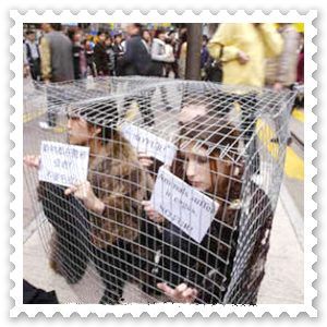 Some Inspiring Facts