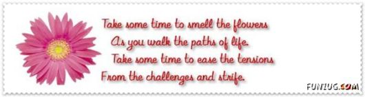 Take Some Time To Read These Quotes