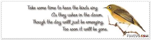 Take Some Time To Read These Quotes