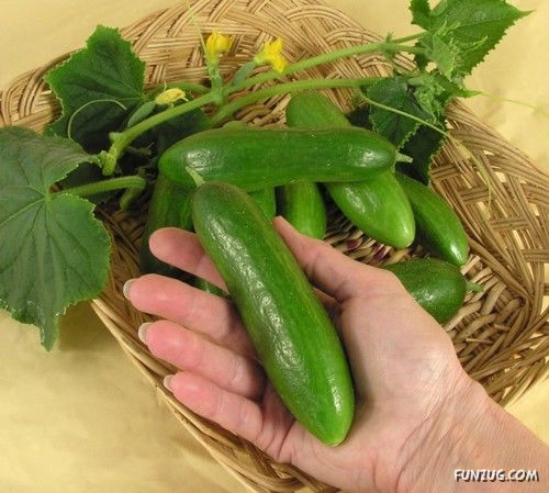 Good Tips to Remove Acne Scars