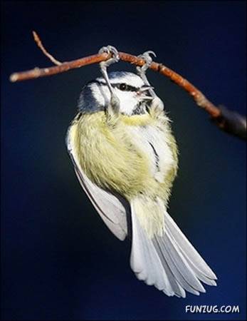 10 Working Tips for 2009