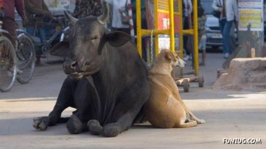 10 Working Tips for 2009