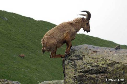 10 Working Tips for 2009