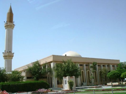 A Trip To Auckland, New Zealand