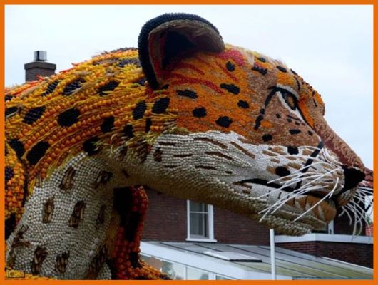 Fruitcorso Festival in Netherlands