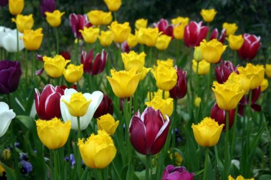 The IncredibLe Istanbul, Turkey