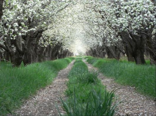 Beauty of Incredible Iran