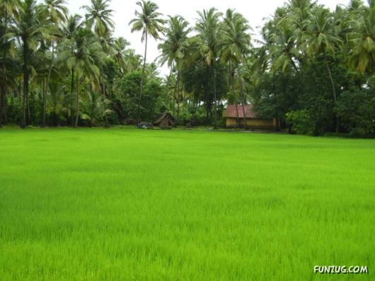 Trip to Beautiful Konkan Distt (India)