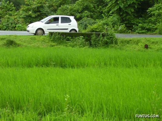 Trip to Beautiful Konkan Distt (India)