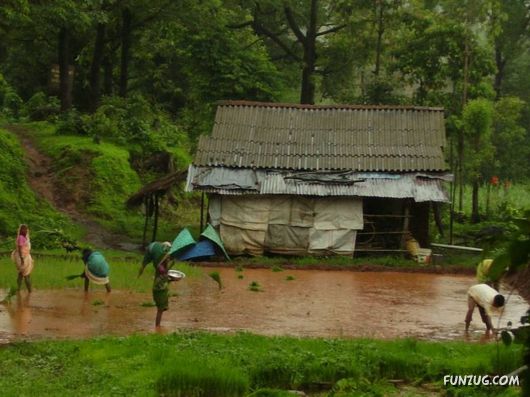 Trip to Beautiful Konkan Distt (India)