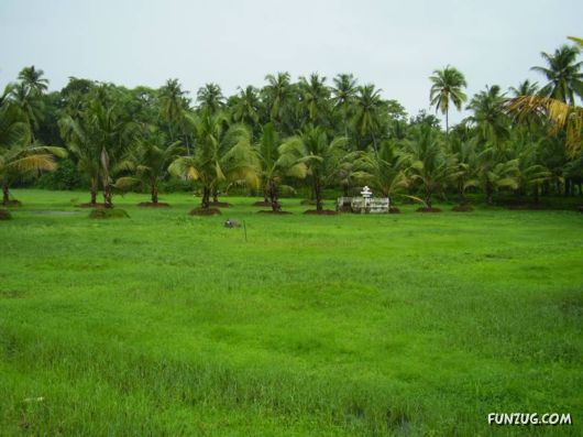 Trip to Beautiful Konkan Distt (India)