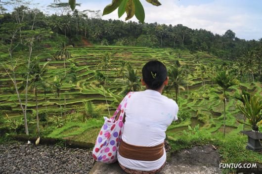 Mystical Bali Island, Indonesia