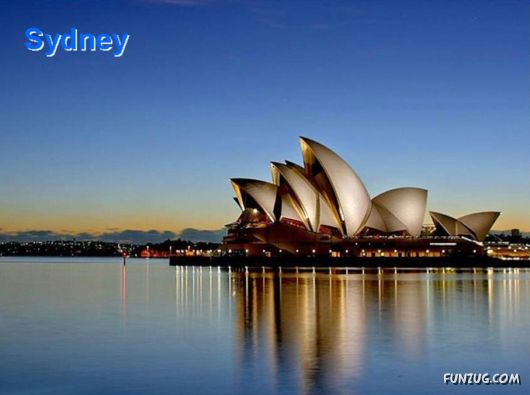 Fascination of the Night