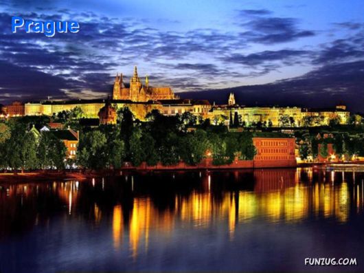 Fascination of the Night