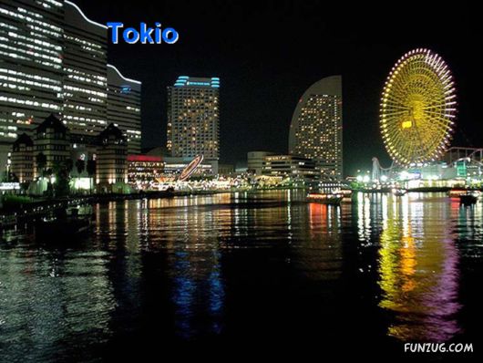 Fascination of the Night