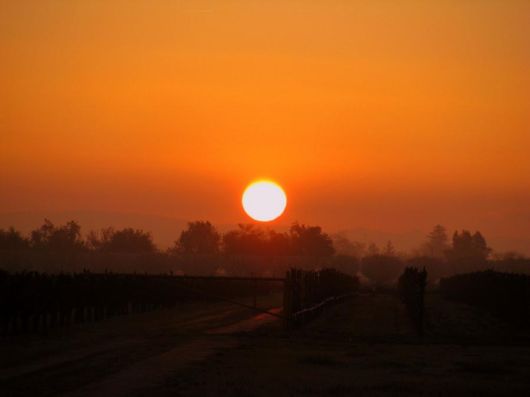 The Land of Rising Sun, Japan