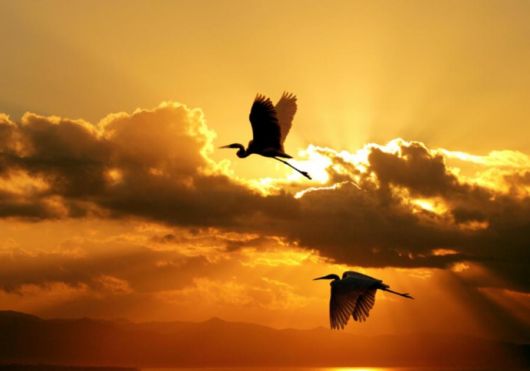 The Land of Rising Sun, Japan