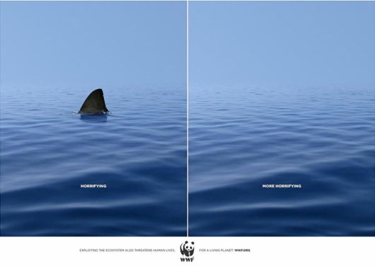 Animal Ad Campaigns That Tell The Uncomfortable Truth